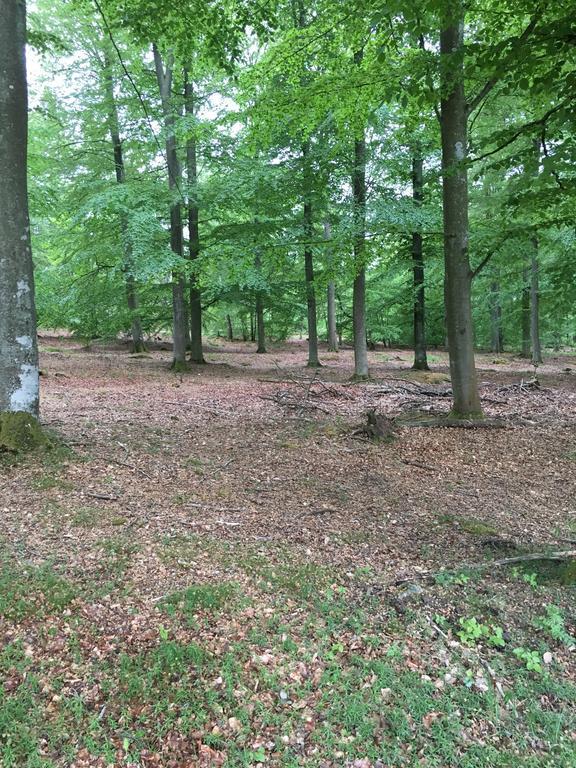 Vila Lusthuset Sölvesborg Exteriér fotografie